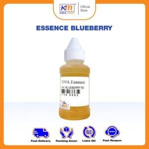 Essence Makanan/Minuman Tova Flavour Blueberry