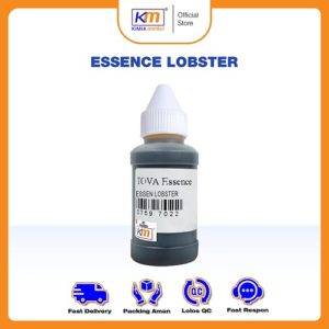 Essence Makanan/Minuman TOVA flavor Lobster