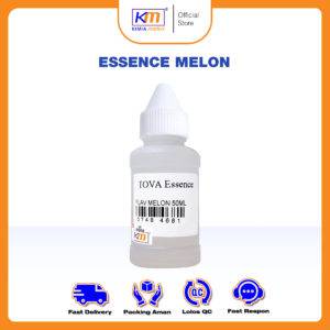 Essen Makanan / flavor Tova Melon